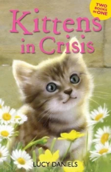 Image of Kittens in Crisis by Lucy Daniels Paperback