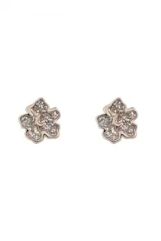 Image of Ted Baker Ladies Jewellery Lenana Earrings TBJ3133-24-138
