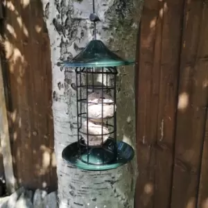 Image of Tom Chambers Oriental Stylish Garden Wild Bird Hanging Green Metal Fat Ball Feeder