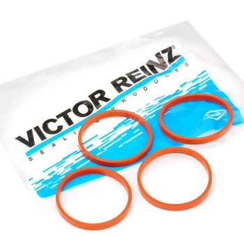 Image of REINZ Gasket Set, intake manifold PEUGEOT,MINI,OPEL 11-37616-01 11617528340,0348S9,11617528340 3557946,0348S9
