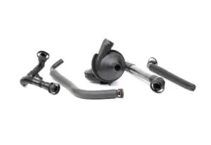 Image of RIDEX Valve, engine block breather 3886V0050 BMW,3 Limousine (E46),5 Limousine (E60),5 Touring (E61),5 Limousine (E39),3 Touring (E46),3 Coupe (E46)