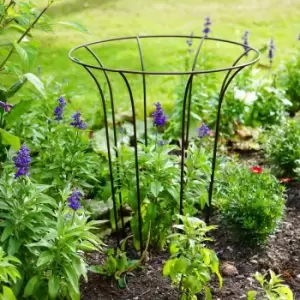 Image of Outdoor Fluted Plant Support Climber Bronze