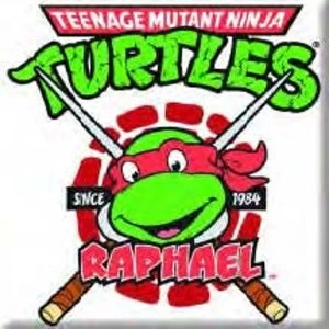 Image of Teenage Mutant Ninja Turtles Raphael Fridge Magnet