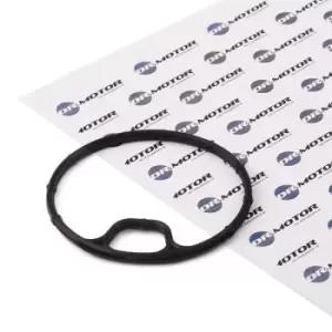 Image of DR.MOTOR AUTOMOTIVE Gaskets OPEL DRM0101 5650905,90536363 Seal, oil filter housing