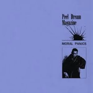 Image of Peel Dream Magazine &ndash; Moral Panics Vinyl