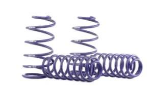 Image of H&R Suspension Kit, coil springs Performance Lowering Springs 29526-1 VW,SEAT,Golf IV Schragheck (1J1),Bora Limousine (1J2),Leon Schragheck (1M1)