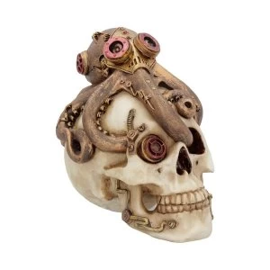 Image of Octo Craniotomy Skull