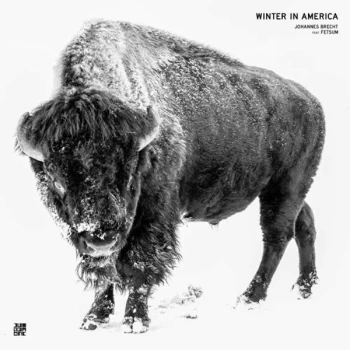 Image of Brecht, Johannes / Fetsum - Winter In America Vinyl