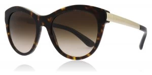 Image of Dolce & Gabbana Sicilian Taste Sunglasses Tortoise 50213 53mm