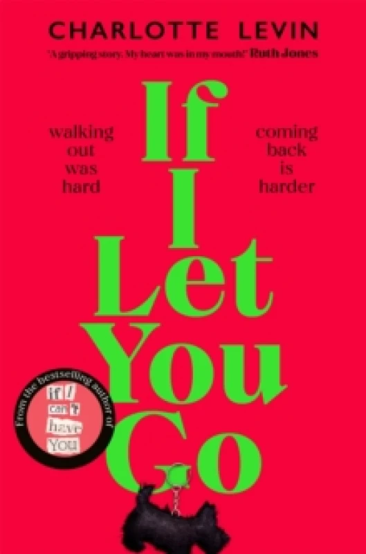 Image of If I Let You Go Paperback / softback