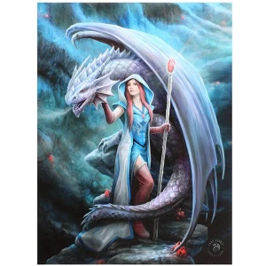 Image of Small Dragon Mage Canvas Picture by Anne Stokes