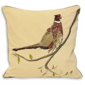 Image of Riva Home Hunter Velvet Pheasant Cushion Cover (45x45cm) (Natural) - Natural
