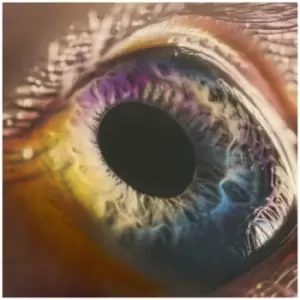 Image of Arcade Fire - WE 180g LP (White)