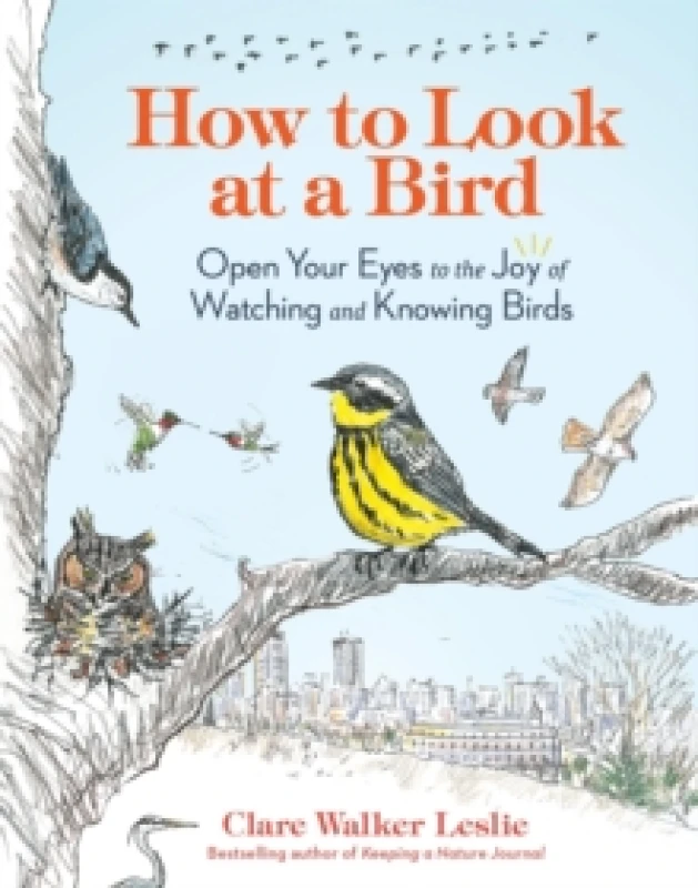 Image of How to Look at a Bird : Open Your Eyes to the Joy of Watching and Knowing Birds Paperback / softback