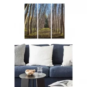 Image of MDF3869365 Multicolor Decorative MDF Painting (3 Pieces)