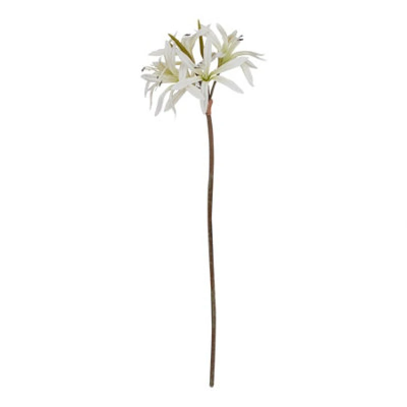 Image of The Natural Garden Collection White Nerine Lily Stem