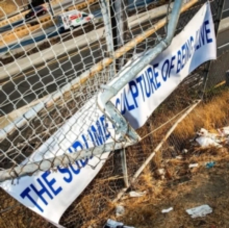 Image of The Sublime Sculpture of Being Alive Vinyl