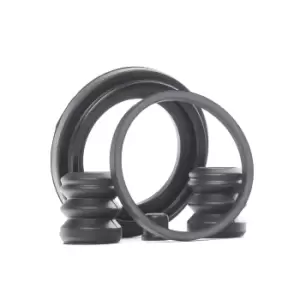 Image of AUTOFREN SEINSA Brake Caliper Repair Kit BMW,FIAT,PEUGEOT D4130 34111154440,34111157043,442761