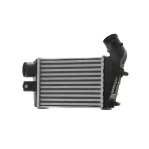 Image of RIDEX Intercooler Core Dimensions: 240.8x166.6x62 468I0032 Turbo Intercooler,Intercooler, charger ALFA ROMEO,147 (937),GT (937)