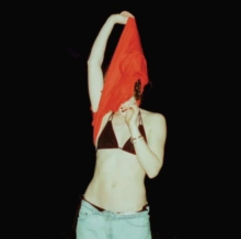 Image of Someone should stop her Vinyl