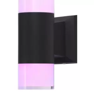 Image of Zinc ASHBY 5W Colour Changing LED Outdoor Downlight with Remote Black