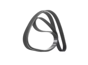 Image of DAYCO V-ribbed belt 6PK1740 Serpentine belt,Auxiliary belt FORD,FIAT,PEUGEOT,FOCUS (DAW, DBW),FOCUS Kombi (DNW),FUSION (JU_),FOCUS Stufenheck (DFW)