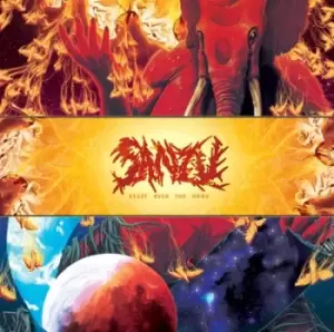 Image of Heavy Over the Home by Sanzu Vinyl Album