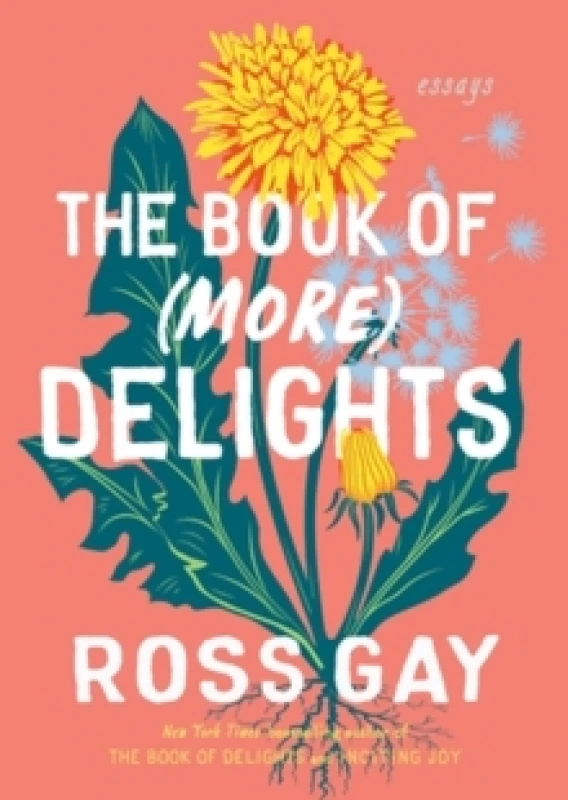 Image of The Book of (More) Delights : Essays Hardback