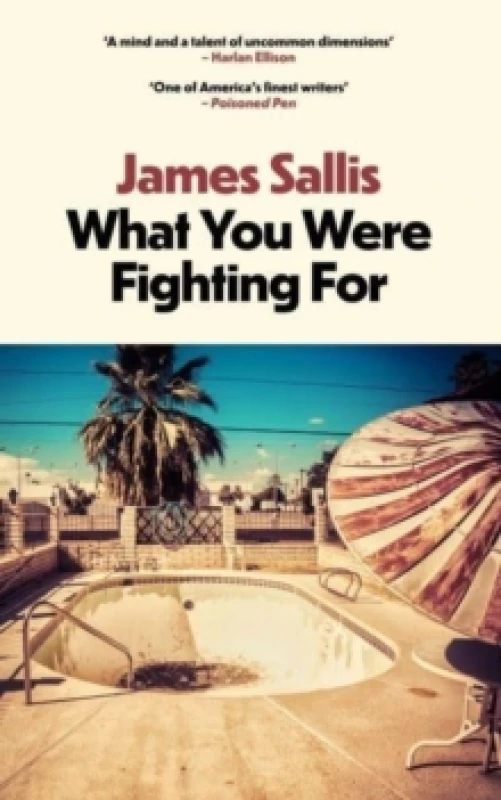 Image of What You Were Fighting For Paperback / softback