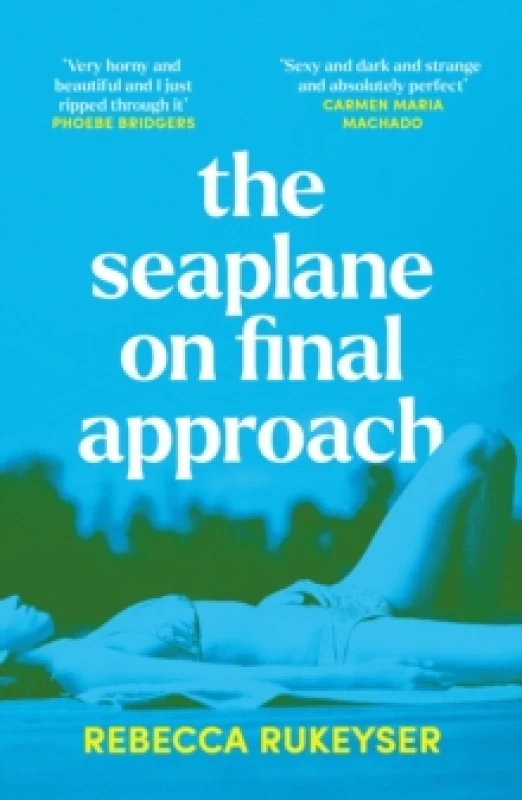 Image of The Seaplane on Final Approach Paperback / softback