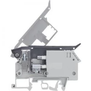 Image of Fuse clip 57.904.5355.0 Wieland Content