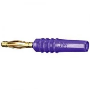 Image of Straight blade plug Plug straight Pin diameter 2mm Violet Stae