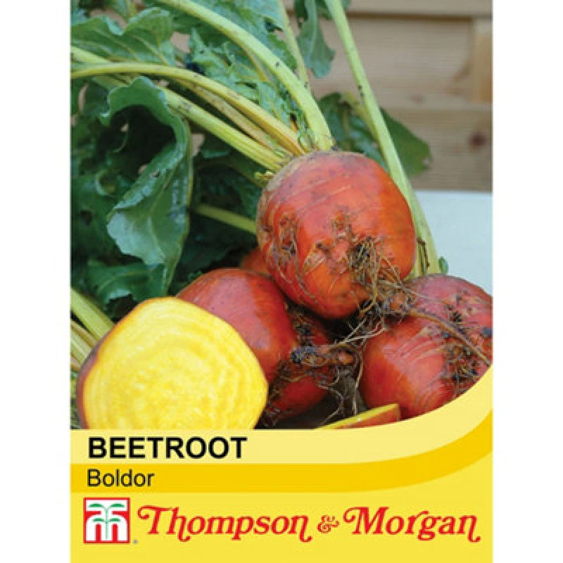 Image of Thompson & Morgan Beetroot Boldor 1 Seed Packet (250 Seeds)