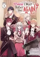 Image of i swear i wont bother you again light novel vol 1