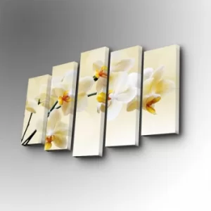 Image of 5PUC-140 Multicolor Decorative Canvas Painting (5 Pieces)