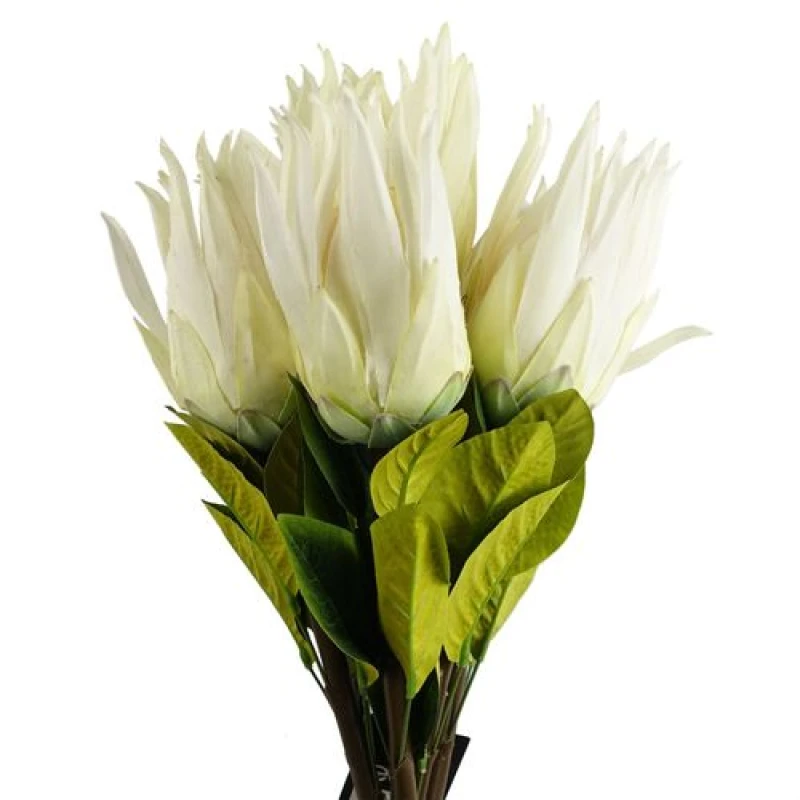 Image of Leaf Pack of 6 x 65cm Protea Sugarbush Flower Stem - White