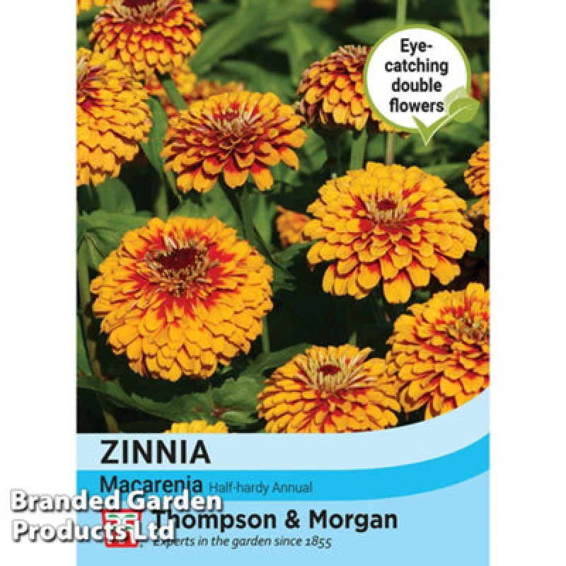 Image of Thompson & Morgan Zinnia Macareni 1 Seed Packet (50 Seeds)