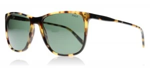 Image of Polo Ralph Lauren PH4102 Sunglasses Tortoise 500471 55mm