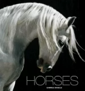 Image of horses their temperament and elegance in the photographs of gabrielle boise