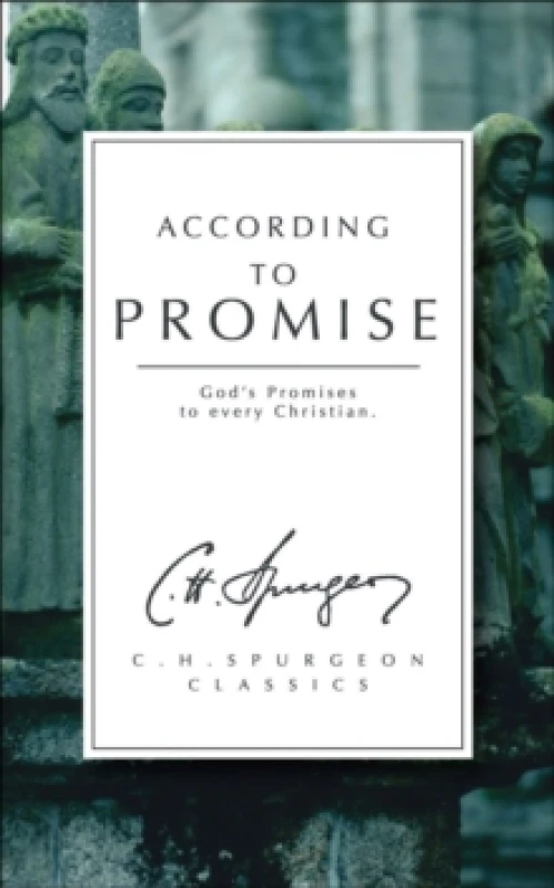 Image of According to Promise : God's Promises to Every Christian Paperback / softback