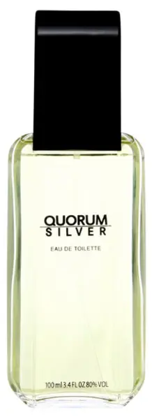 Image of Antonio Puig Quorum Silver Eau de Toilette For Him 100ml