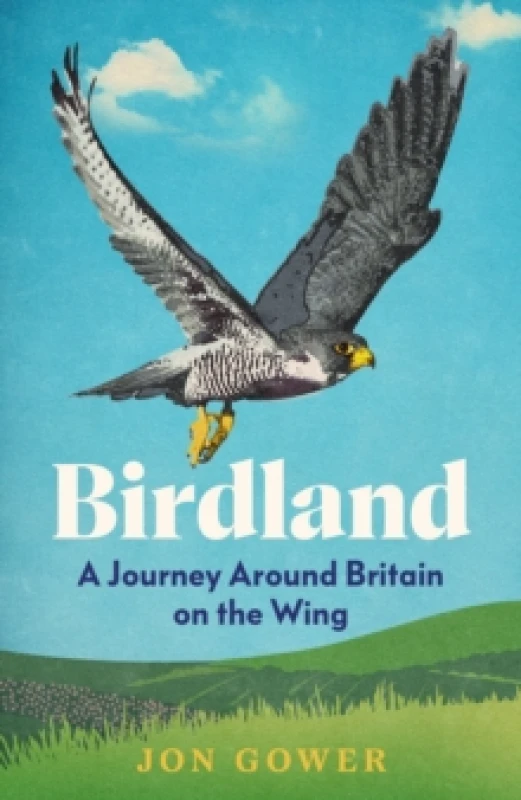 Image of Birdland. Hardback. By Jon Gower Books