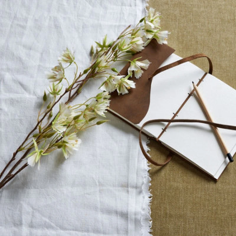 Image of Elaeocarpus Stem