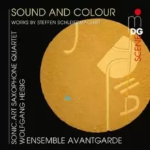Image of Steffen Schleiermacher: Sound and Colour