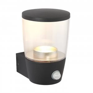Image of PIR 1 Light Outdoor Wall Light Clear Polycarbonate, Dark Matt Anthracite Paint IP44, GU10