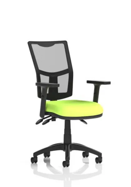 Image of Eclipse Eclipse Plus III Lever Task Operator Chair Mesh Back With Bespoke Colour Seat In Myrrh Green With Height Adjustable Arms KCUP1653