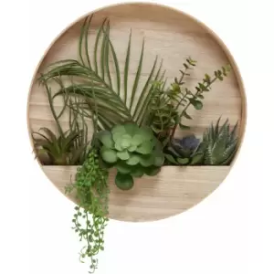 Image of Premier Housewares Fiori Mixed Succulents in Wood Wall Planter