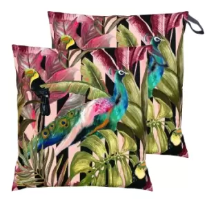 Image of Toucan and Peacock Large 70cm Outdoor Floor Twin Pack Cushion Multi