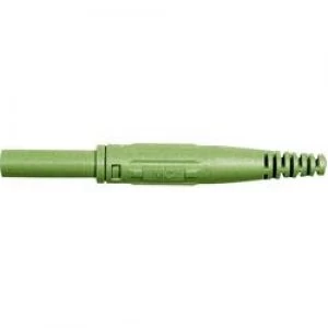 Image of Jack socket Socket straight Pin diameter 4mm Green Staeubli