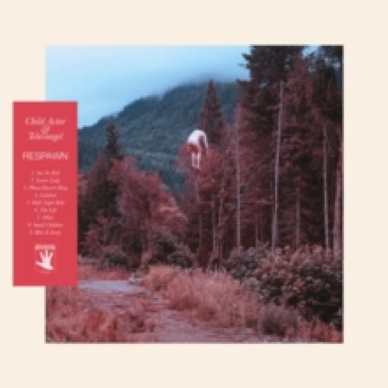 Image of Respawn Vinyl